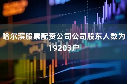 哈尔滨股票配资公司公司股东人数为19203户